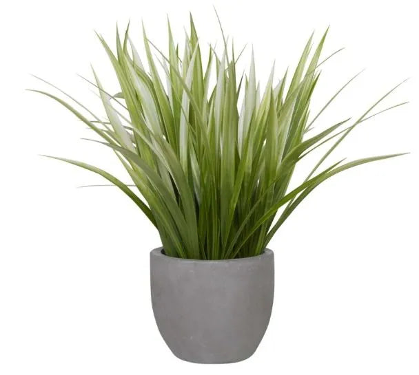 Caena Planter