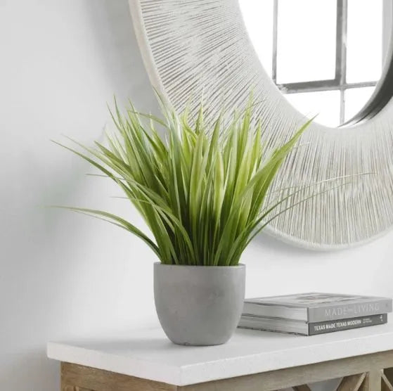 Caena Planter