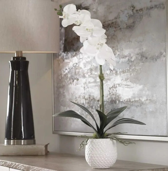 Orchid