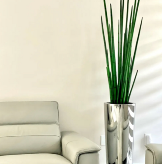 Polished Stainless Steel Medium Cone with Snake Grass Plant