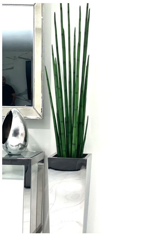 Silver Cube Planter with Snake Grass