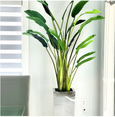 Stainless Steel Cube Planter with Bird of Paradise