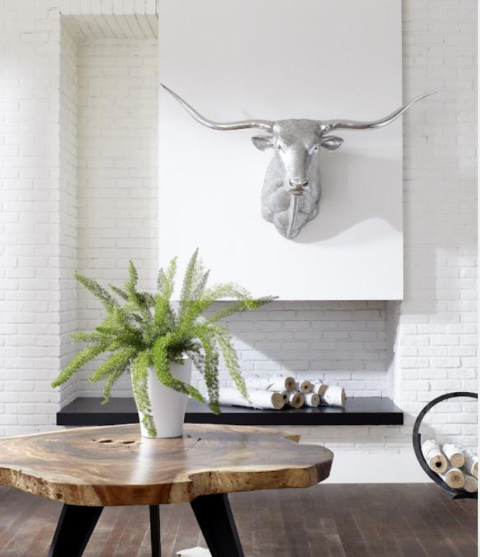 Longhorn Bull Wall Art, Resin, Silver Leaf