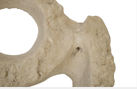 Colossal Cast Stone Sculpture, Double Hole, Roman Stone