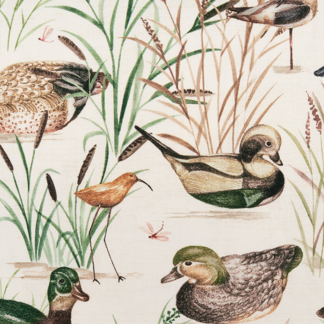 D.V. Kap Mallard Pillows