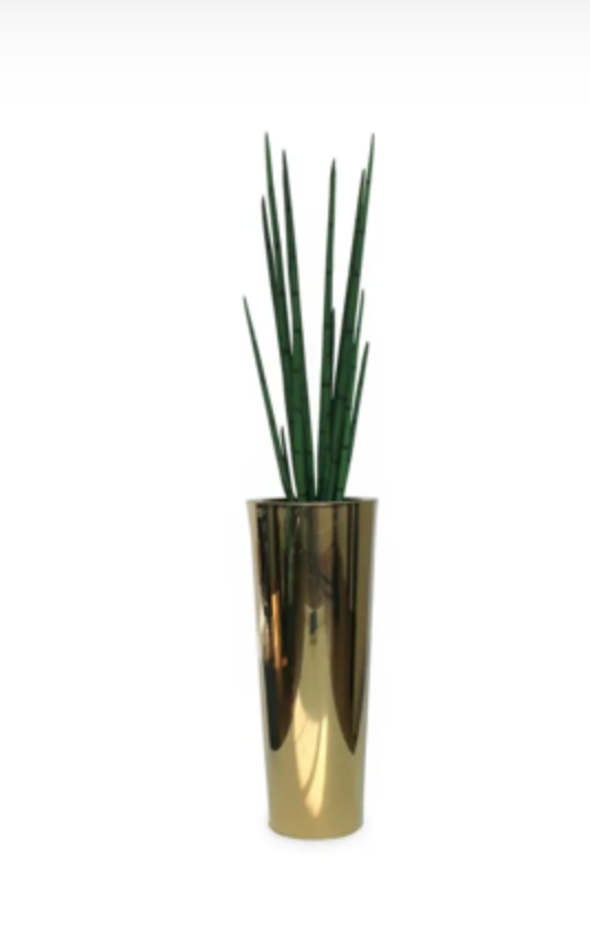 Pure Gold Stainless Steel Tapered Large Cone with Medium Snake Grass Plant
