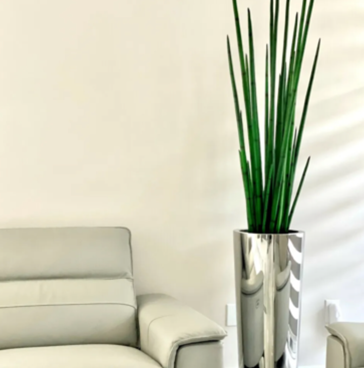 conical snake plant Polished Stainless Steel Medium Cone with Snake Grass Plant – Luxe Lifestyles NYC Home