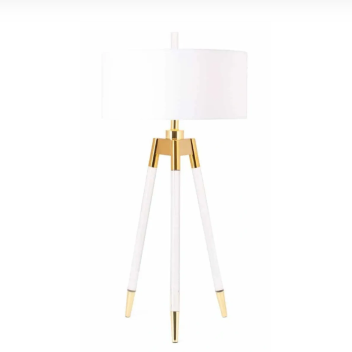 Acrylic & Gold Table Lamp