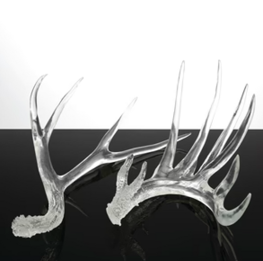 Clear Antlers [Set of 2]