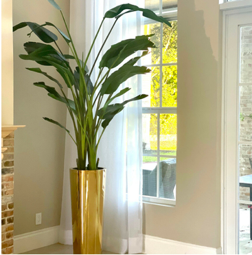 Gold Cone Planter with Bird of Paradise