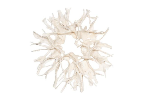 Cast Root Wall Decor, Faux Bleached