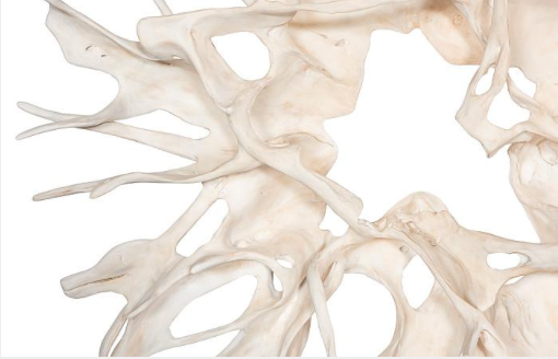 Cast Root Wall Decor, Faux Bleached