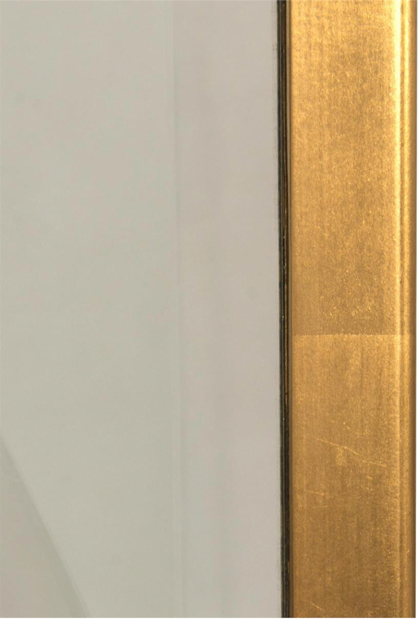 Euclid's Gold Mirror