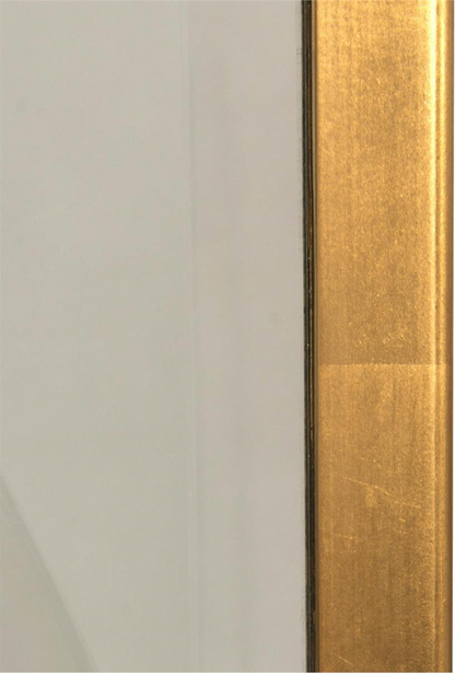 Euclid's Gold Mirror