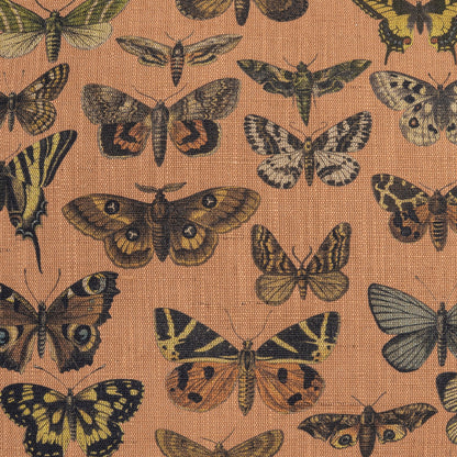 D.V. Kap Volara Pillows