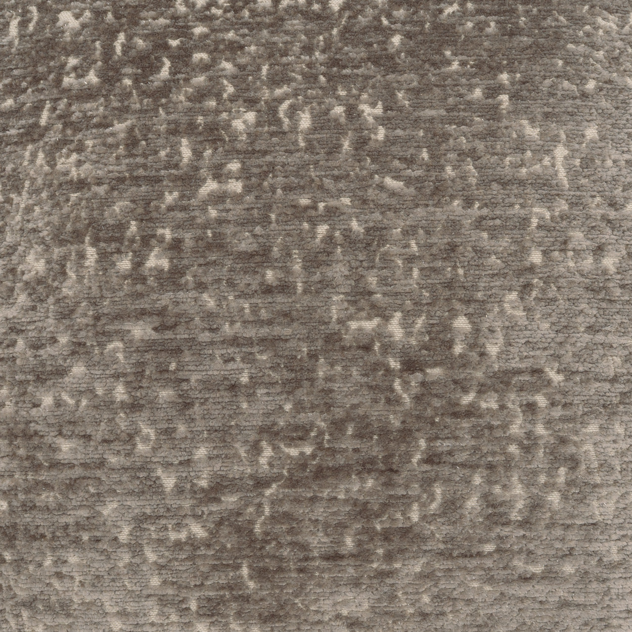 D.V. Kap Gamble-Driftwood